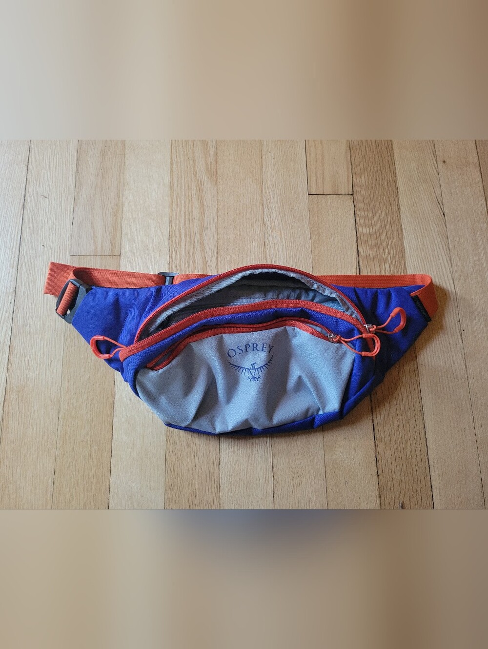 Osprey Fanny Hip Pack
